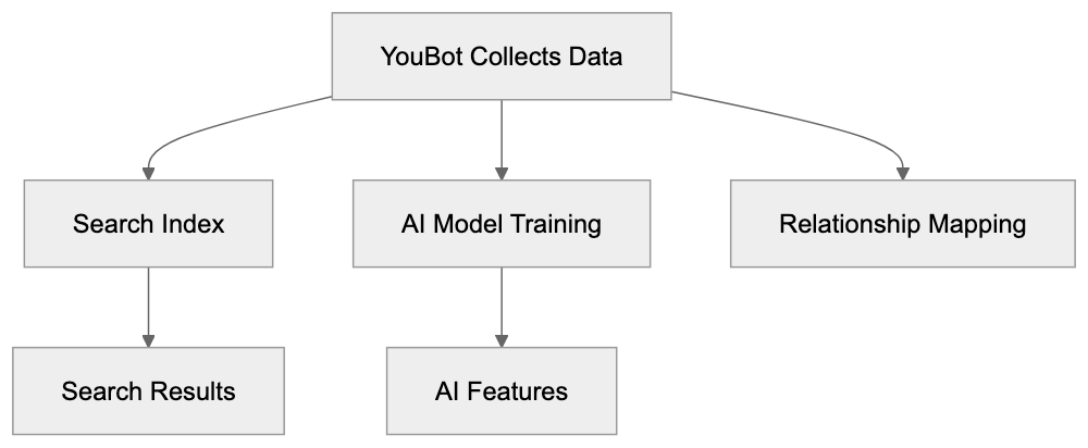 How You.com Uses Data Collected by YouBot Diagram